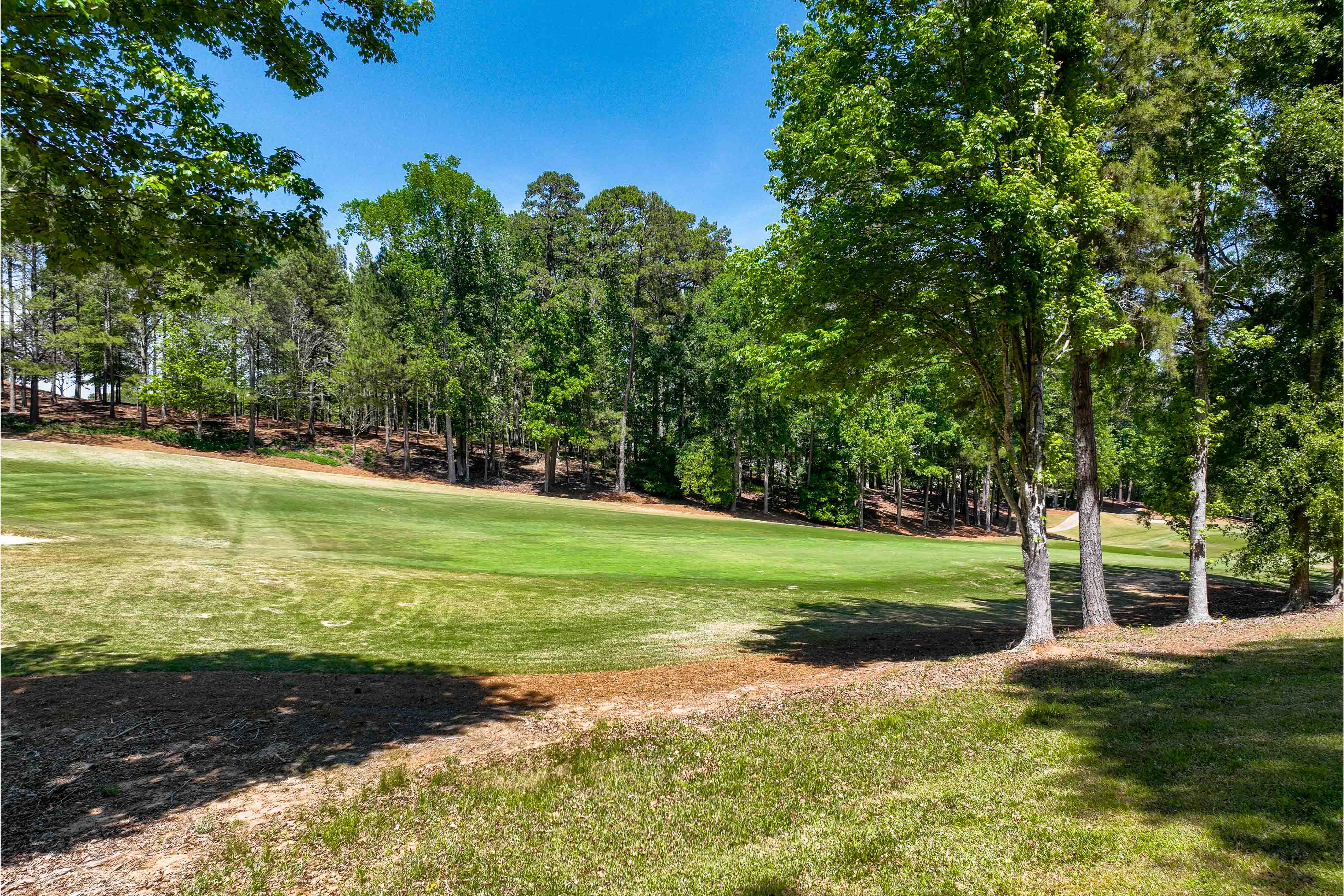 1000 Curtright Place image 9